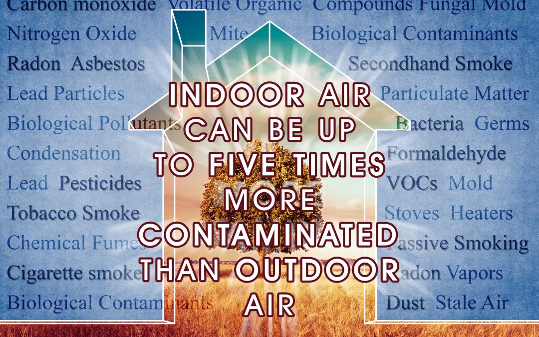 Recognize the Allergens Inside Your Home and Improve Your Indoor Air Quality