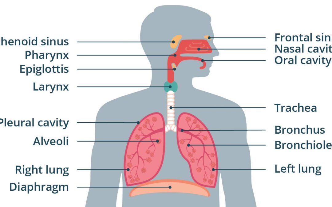 The Hidden Dangers of Dirty Air: Understanding Indoor Air Quality and Your Health